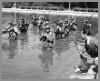 poolsoldiers demonstating stream fording tactics in FLeishhacker pool in 1942.jpg