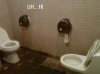 funny-toilets-public-bathroom-in-front-of-each-other_1_.jpg