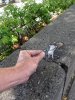 Amazing-Sidewalk-Chalk-Art-by-David-Zinn.jpg