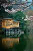 Lake-House-Saitama-Japan.jpg