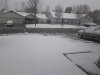 1st Snow 2020.jpg