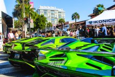 Neurotic Exotics Excite on Las Olas and Beyond