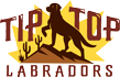 tiptoplabradors.com