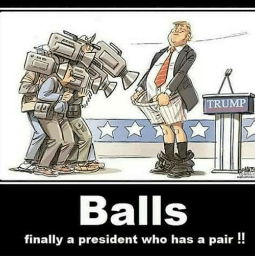 trump-balls-finally-a-president-who-has-a-pair-18685505.png