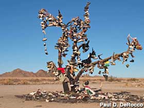 Shoe Tree.